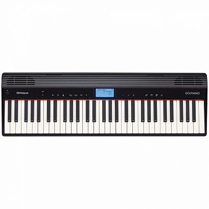 ROLAND GO-61P   --  