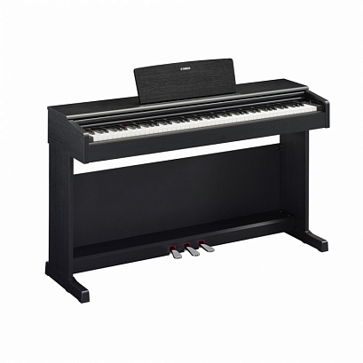 YAMAHA YDP-145B -- �������� ����������,